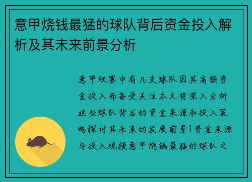 意甲烧钱最猛的球队背后资金投入解析及其未来前景分析